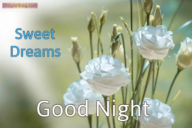 Good Night With Flowers Good Night With Flowers