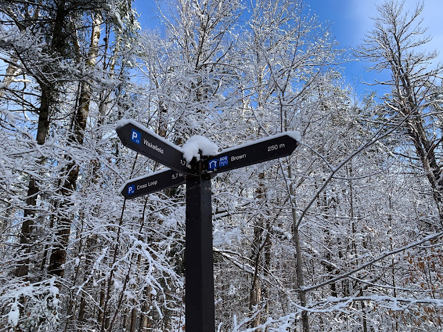 Sentier de raquette dans le Parc de la Gatineau
