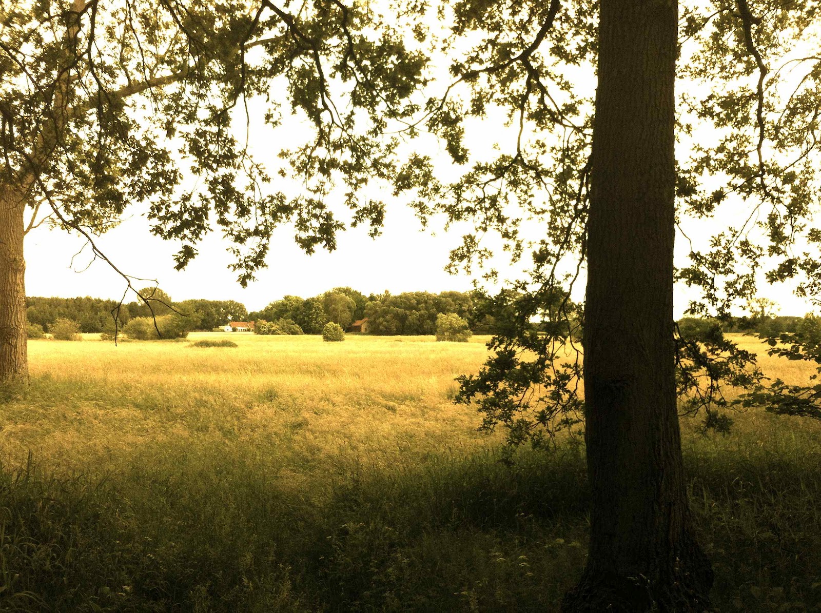 Herzzurueckgarantie Es Wird Mal Wieder Zeit Crazy Factory