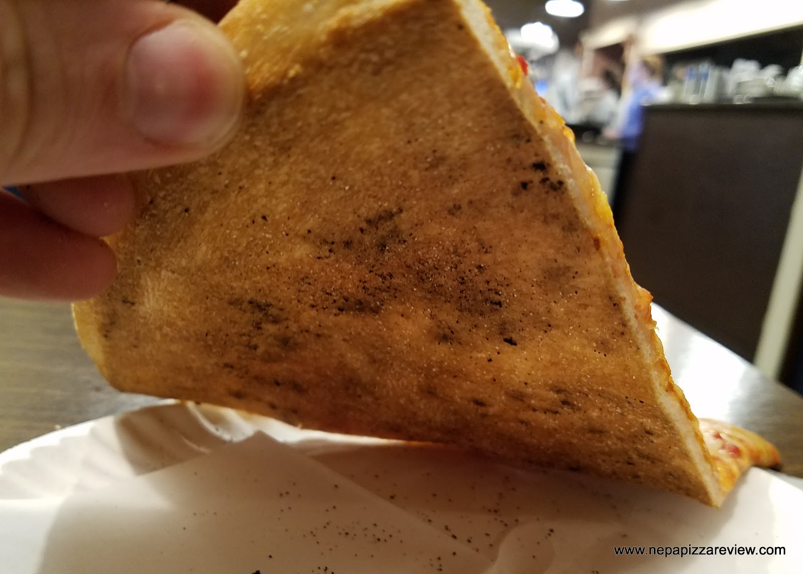 DaVinci Pizza Scranton NEPA Pizza Review