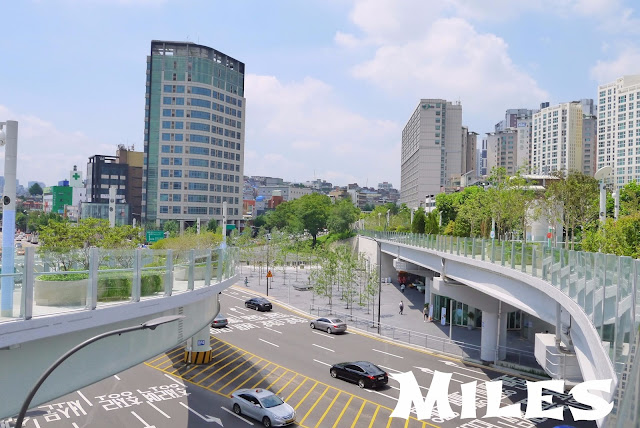 【首爾旅遊】首爾路7017@遊首爾最新玩法、市中心空中花園