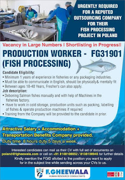 Gulf%2BJob%2BPaper%2B%25287%2529