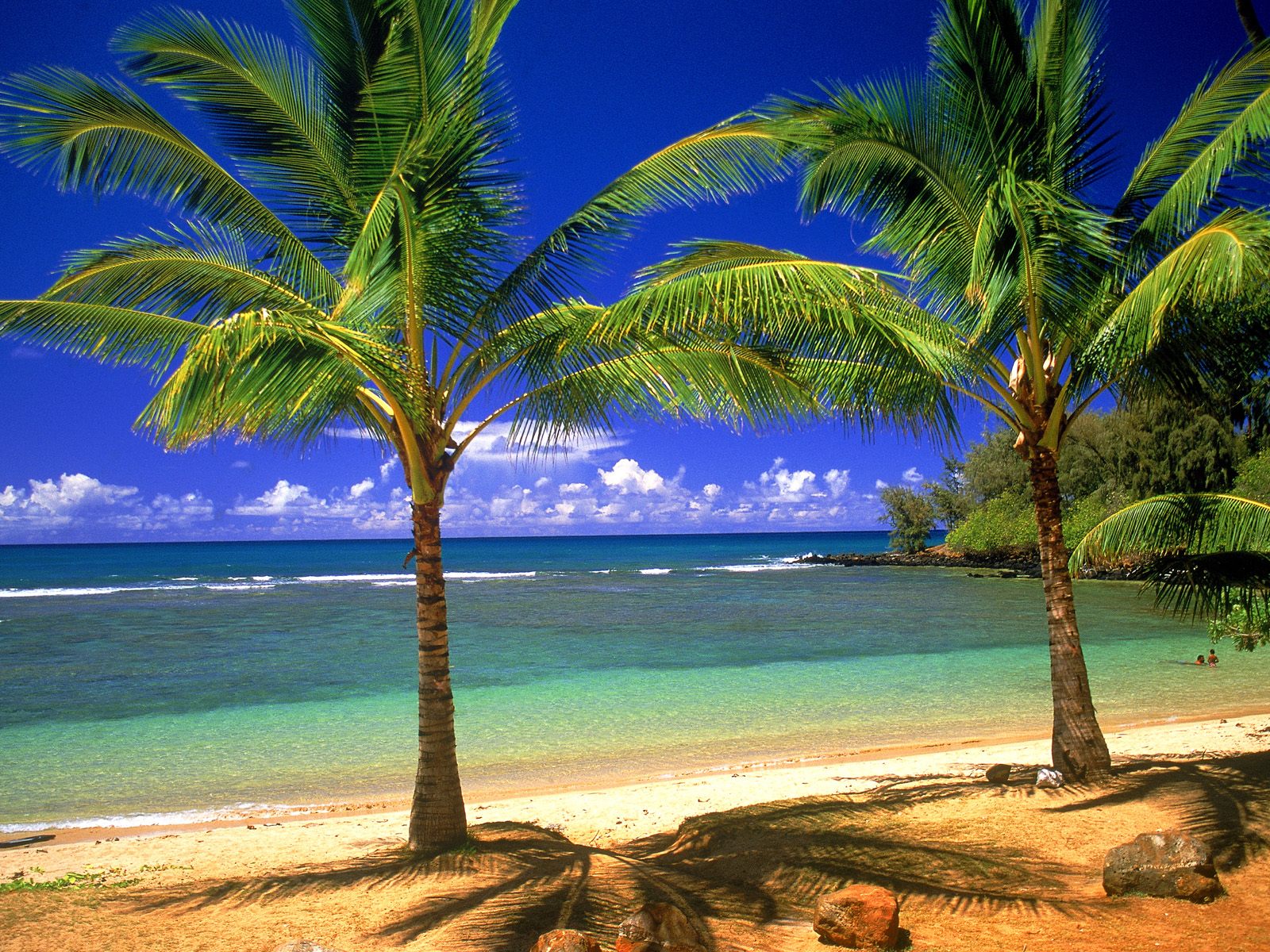 World Visits: Top 8 Tropical Beach Collction - Relaxing Vacation