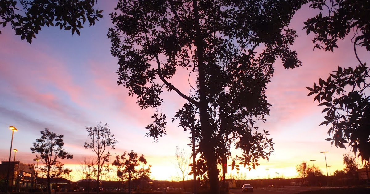 Cancer Insights and Encouragement God Wraps Himself in Light