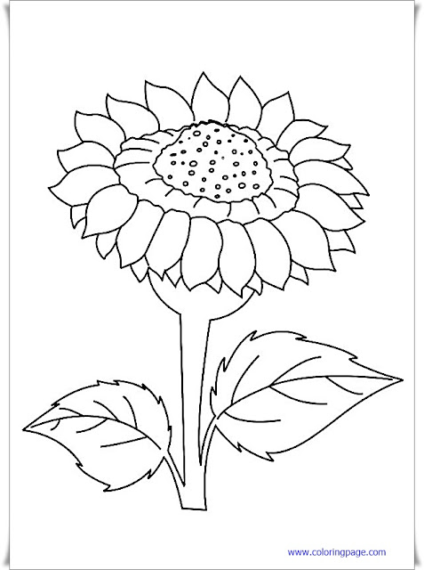 Coloring book pdf download