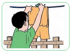 Ilustrasi Soal UKK IPA kelas III SD