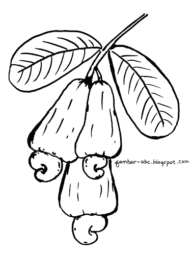 Mewarnai Buah - Gambar Mewarnai