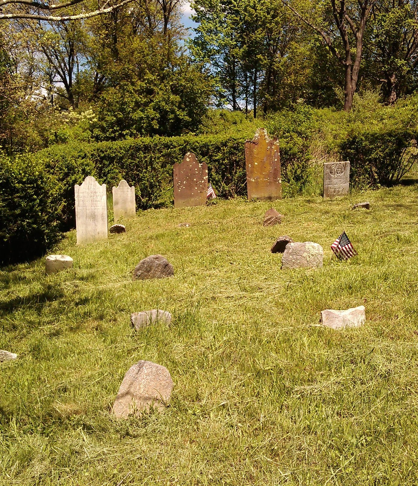 Hallowed Grounds & History Spring 2016 Cleanup at the Mead Family