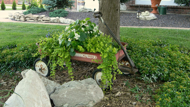 Forever Decorating!: Front Yard Gardens 2013!