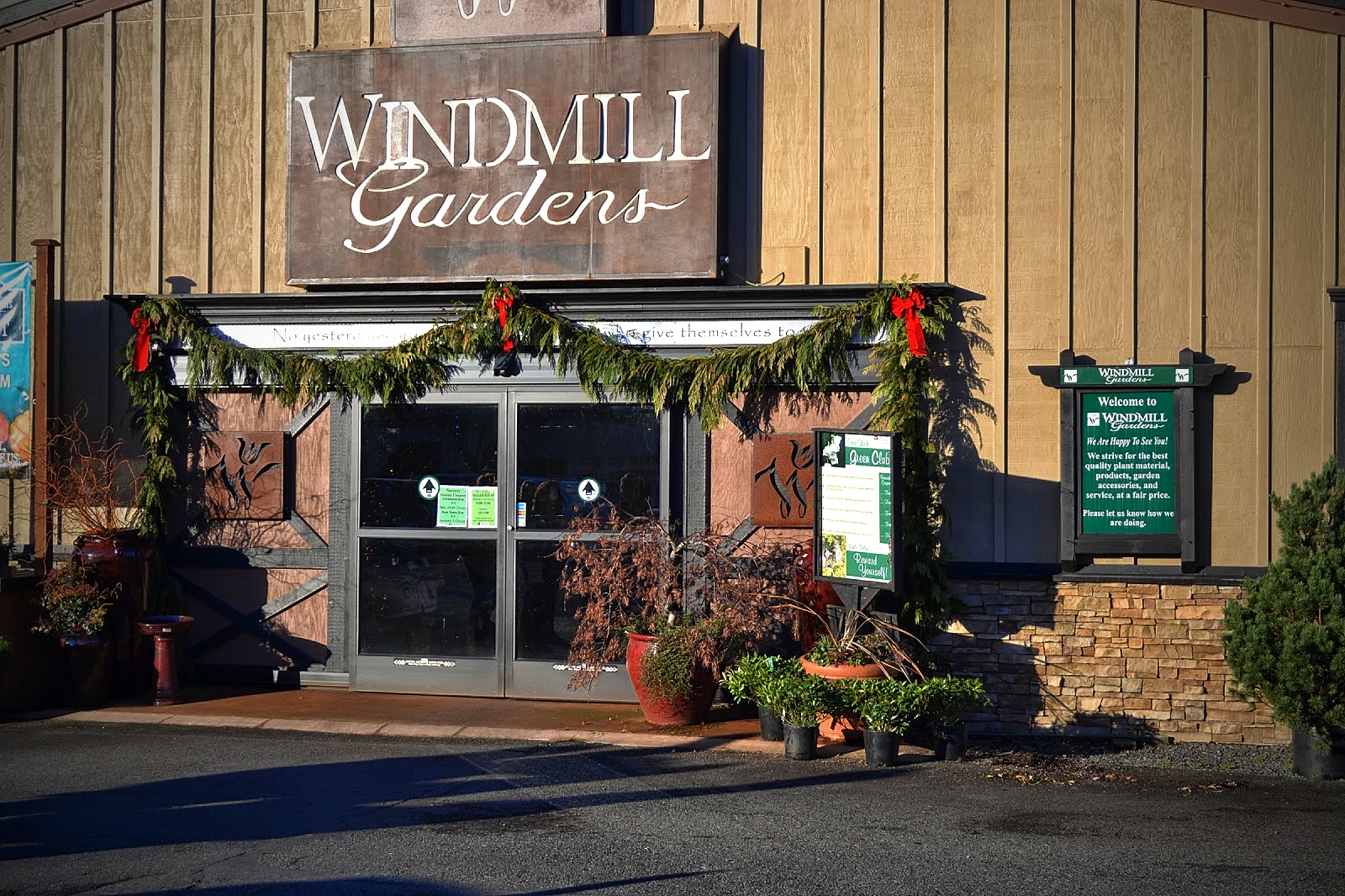 The Outlaw Gardener Windmill Gardens In December