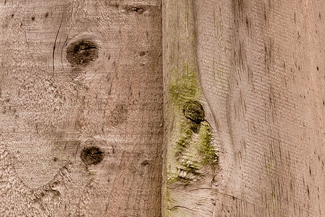 High resolution light brown wooden fence texture at 100%