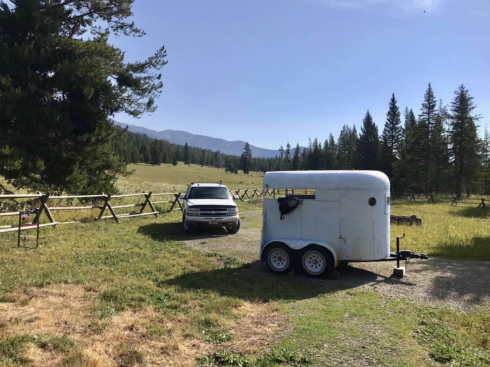 Alpacas Of Montana Inc An Overview Of Everything Alpaca