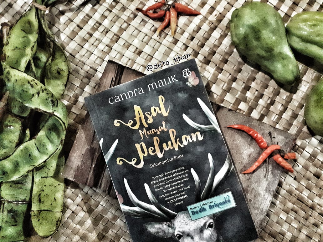 [RESENSI BUKU] KUMPULAN PUISI ASAL MUASAL PELUKAN