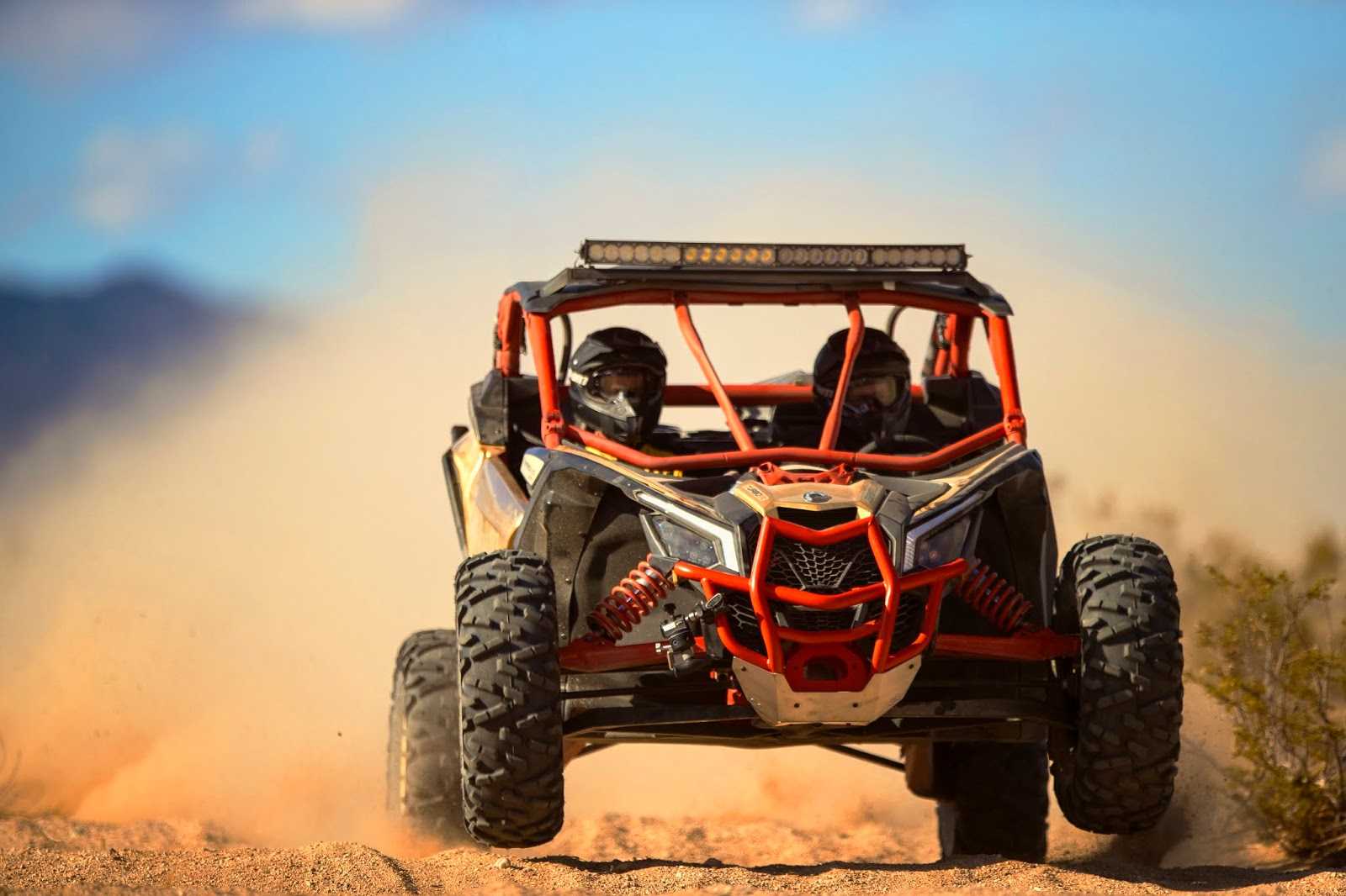 rally can am