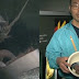 Japoneses comemoram após Isópodo fazer cocô no Toba Aquarium após 2 anos de prisão de ventre