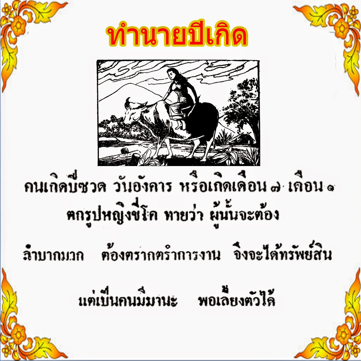 My Image 49