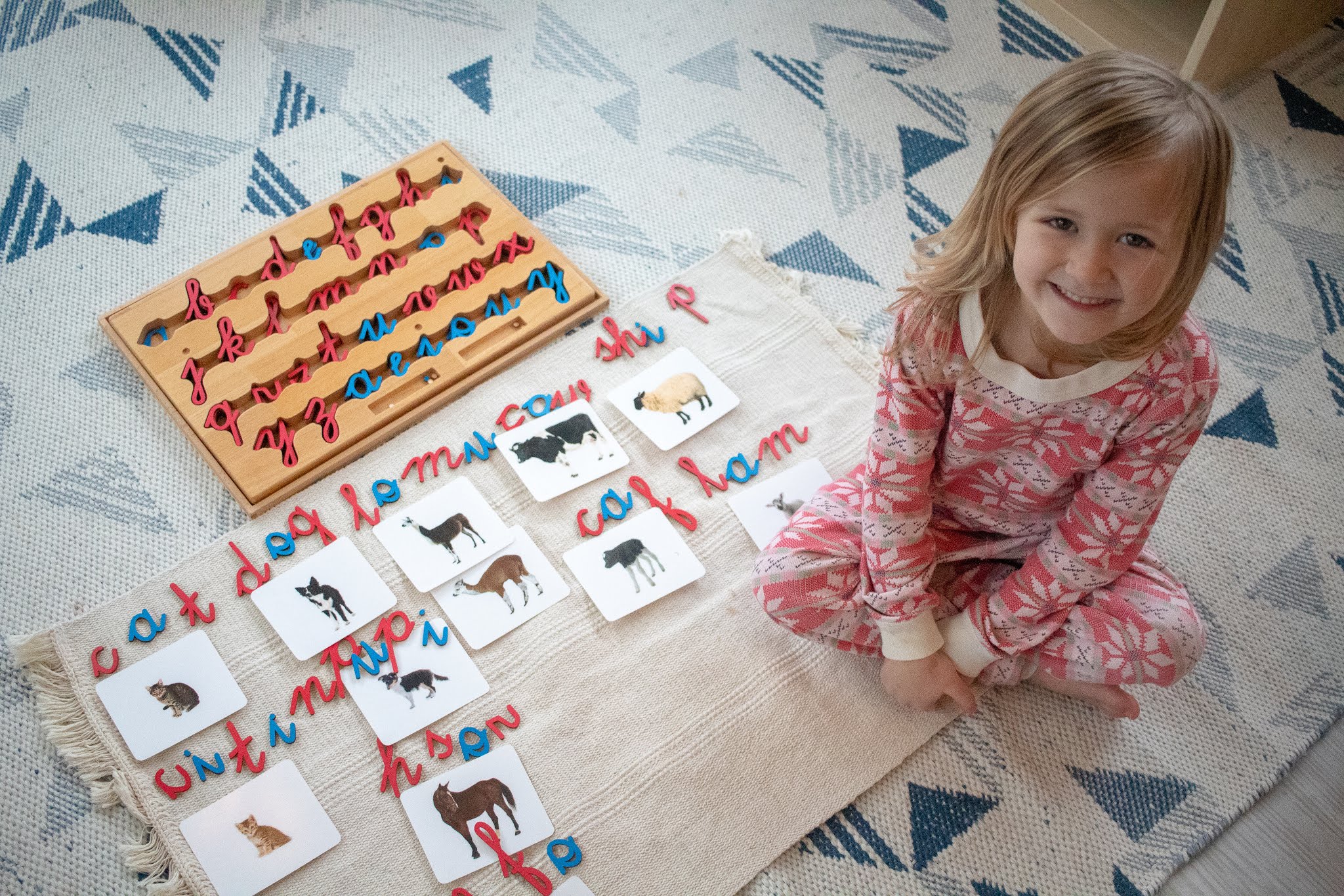 5 Ways to Use a Montessori Movable Alphabet at Home
