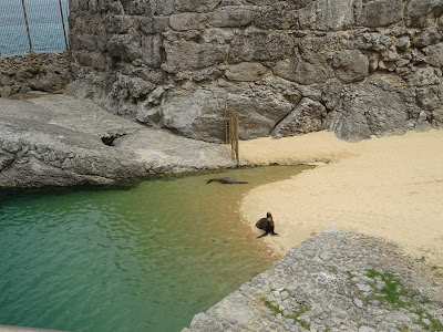 Pequeño Zoológico