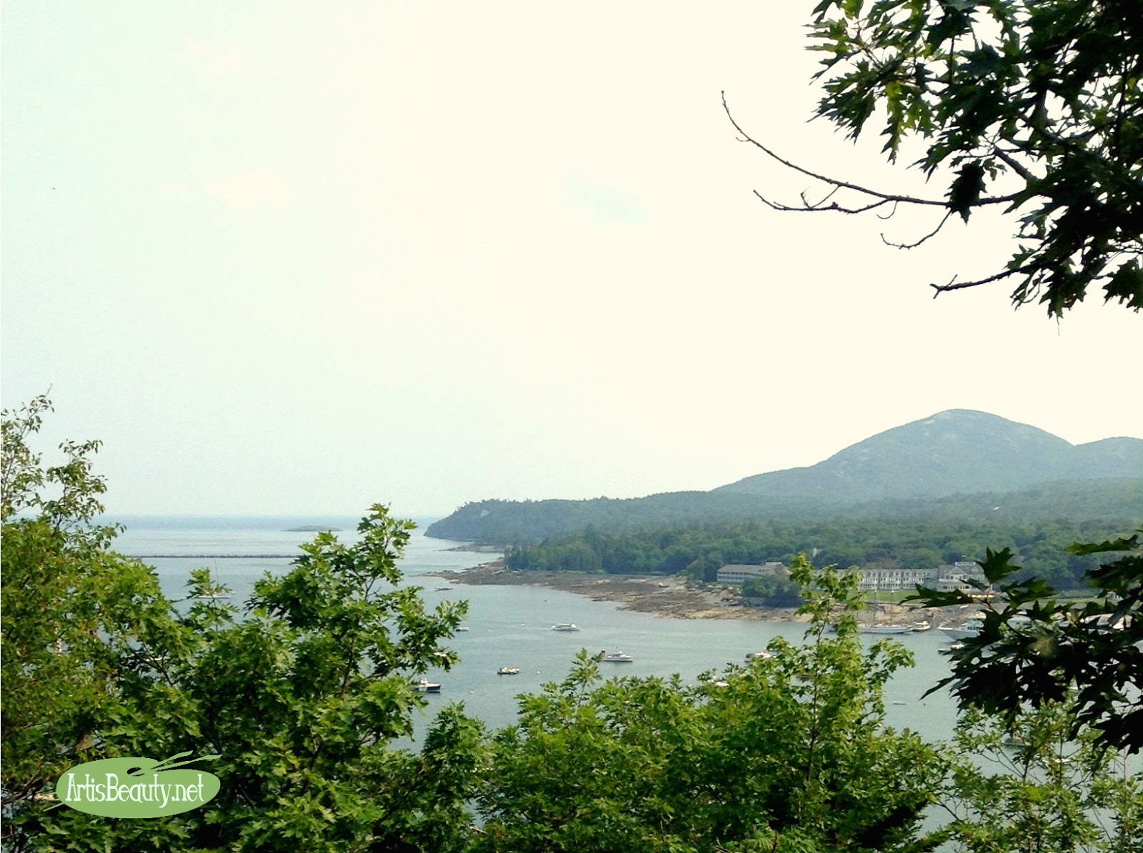 ART IS BEAUTY: Tips on Navigating Acadia National Park
