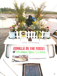 GORILLA ON BOARD! Click the word 'GORILLA' above, or the picture below to find out MORE