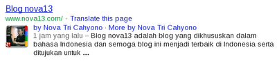 Blog nova13 on Google