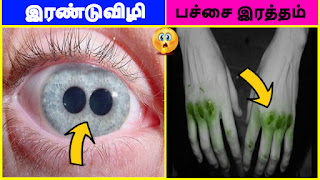 top 10 amazing facts in tamil