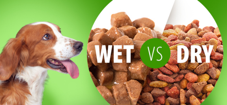 Canned pet food vs. Dry Kibble Your Dog's Diet