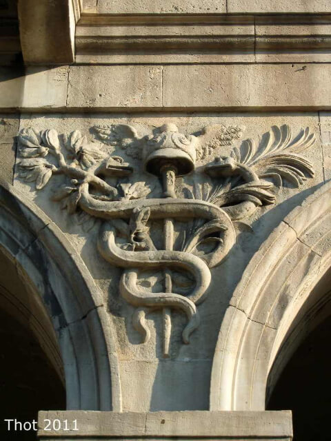 Relieve del caduceo de Hermes en la casa Xifré. Se trata de una vara de olivo con un casco con alas en su parte superior y con dos serpientes entrelazadas.