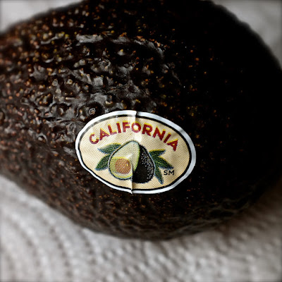 California Avocado: photo by Cliff Hutson