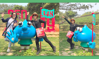 龍潭景點-大北坑休閒農業區-疫情期間少了人潮、多了恬靜自在