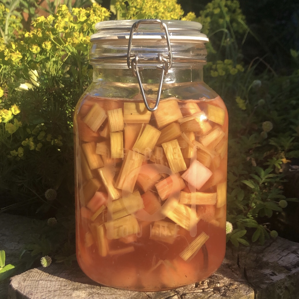 Homemade Rhubarb Gin Liqueur Foodie Quine Edible Scottish Adventures