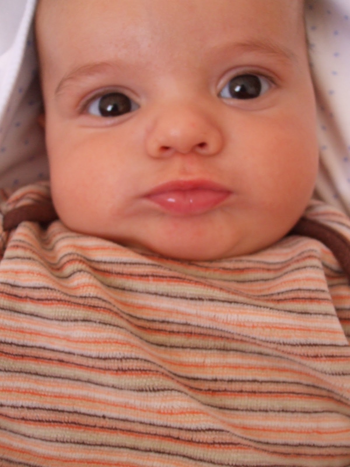 iKi bÖceK biR çİçeK arzuşun yaz tatlısı )