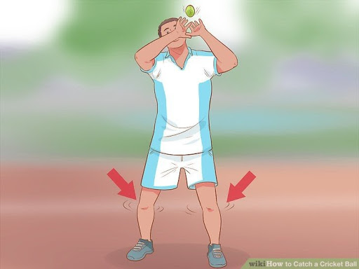 How to Catch a Cricket Ball