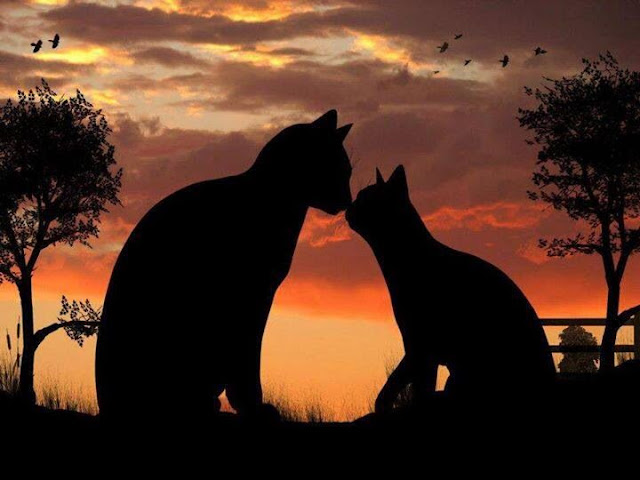 отношение буддистов к животным. Смотреть фото отношение буддистов к животным. Смотреть картинку отношение буддистов к животным. Картинка про отношение буддистов к животным. Фото отношение буддистов к животным отношение буддистов к животным. Смотреть фото отношение буддистов к животным. Смотреть картинку отношение буддистов к животным. Картинка про отношение буддистов к животным. Фото отношение буддистов к животным