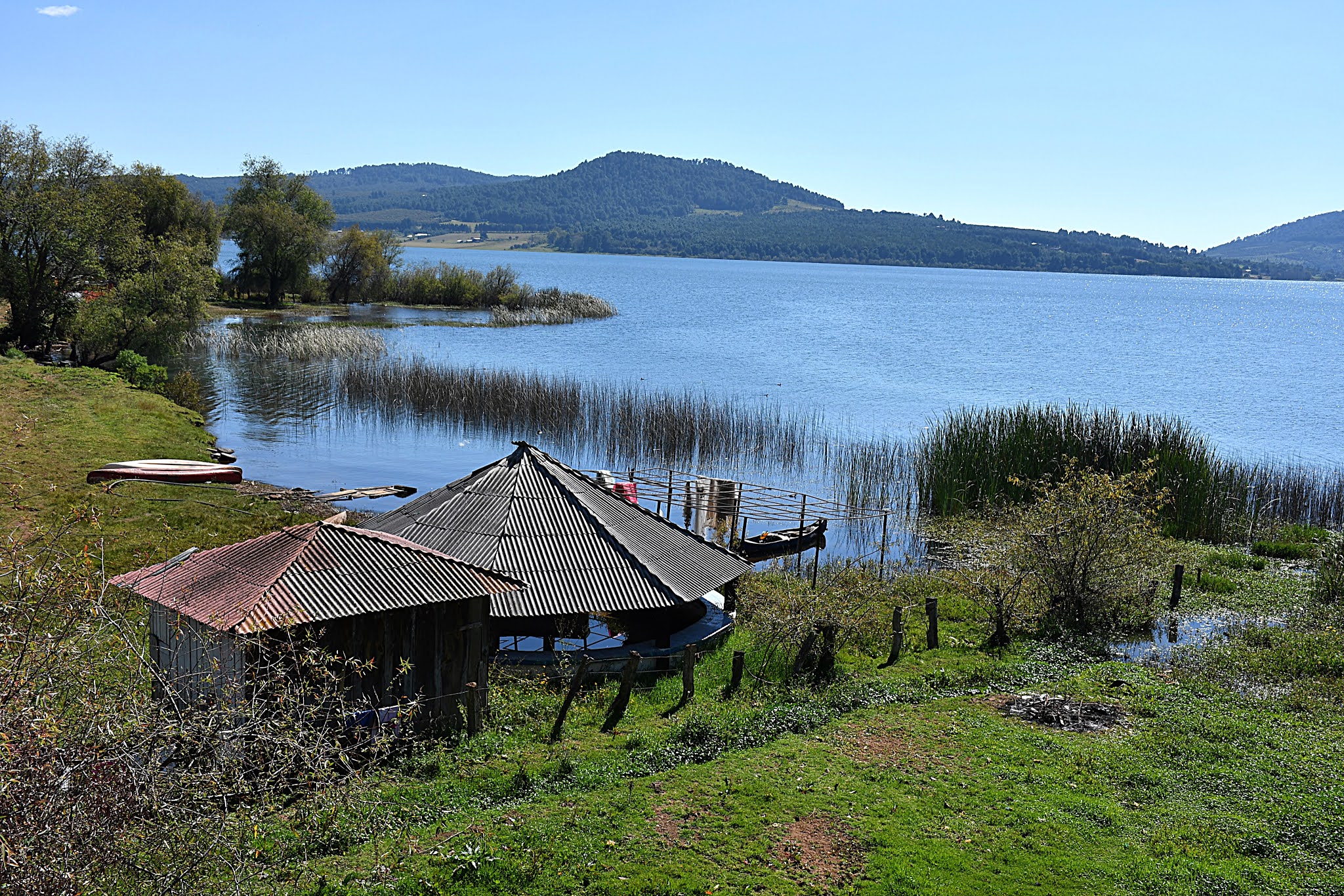 CupCakes and CrabLegs Lake Zirahuén
