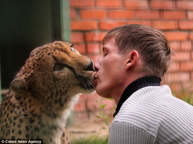 Pria yang Terbiasa Berciuman dengan Cheetah ~ angkatigabelas