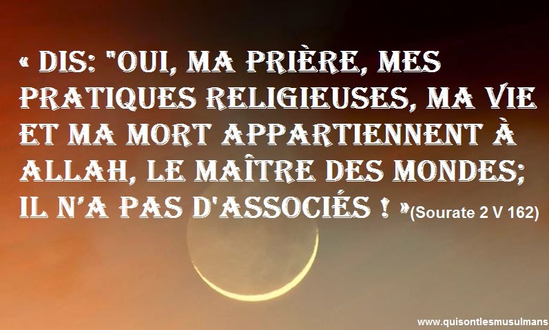 [75+] Sagesse Citation Sur La Patience Gratuit