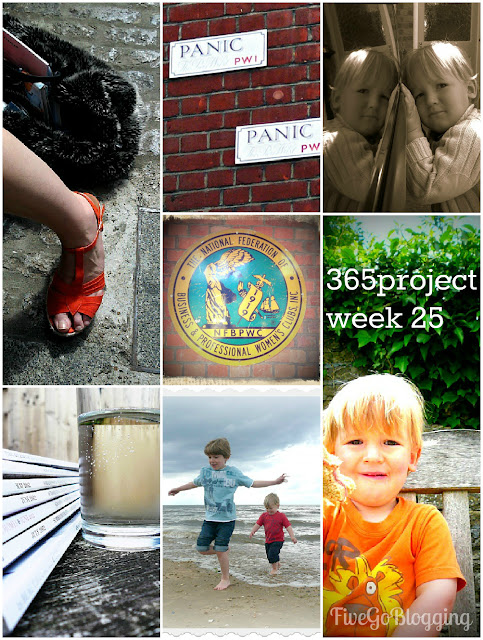 Five Go Blogging 365Project week 25