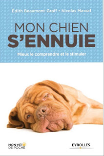 Mon chien s’ennuie: Mieux le comprendre et le stimuler