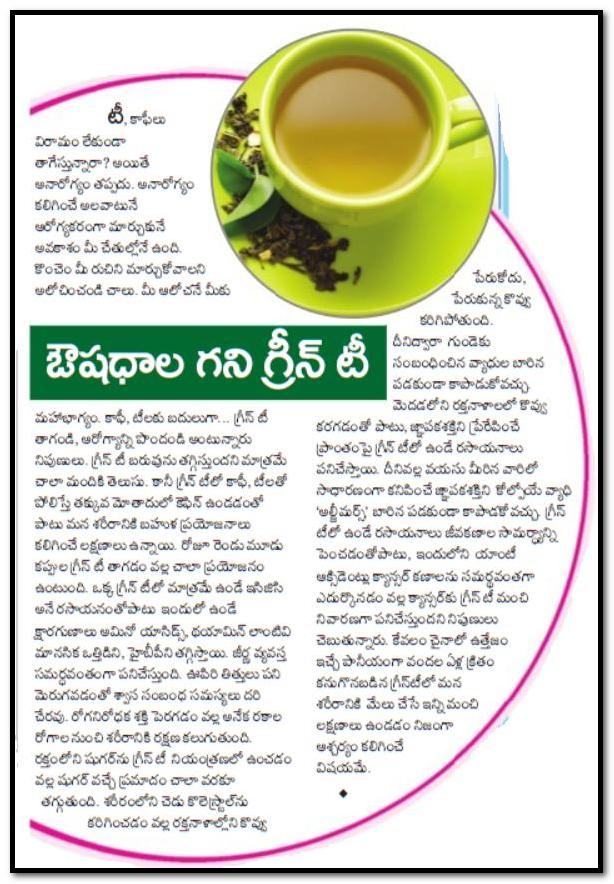 TELUGU WEB WORLD MEDICINAL KHAZANA THE GREEN TEA DRINK GREEN TEA
