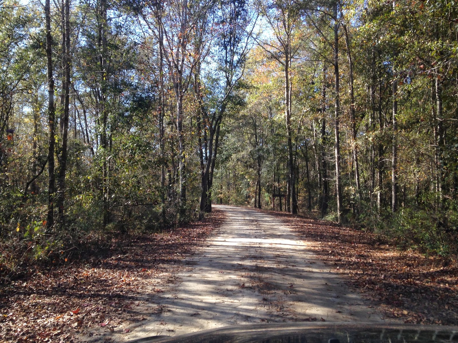 One Hopeless Wanderer Jesup, An Experiential Trial of Vipassana Meditation