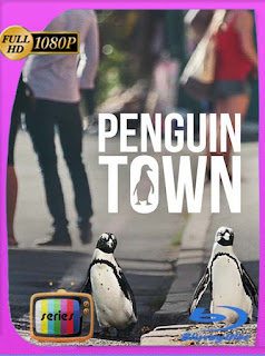 Colonia Pingüino (Penguin Town) (2021) Temporada 1 HD [1080p] Latino [GoogleDrive] PGD