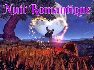 Une Nuit Romantique