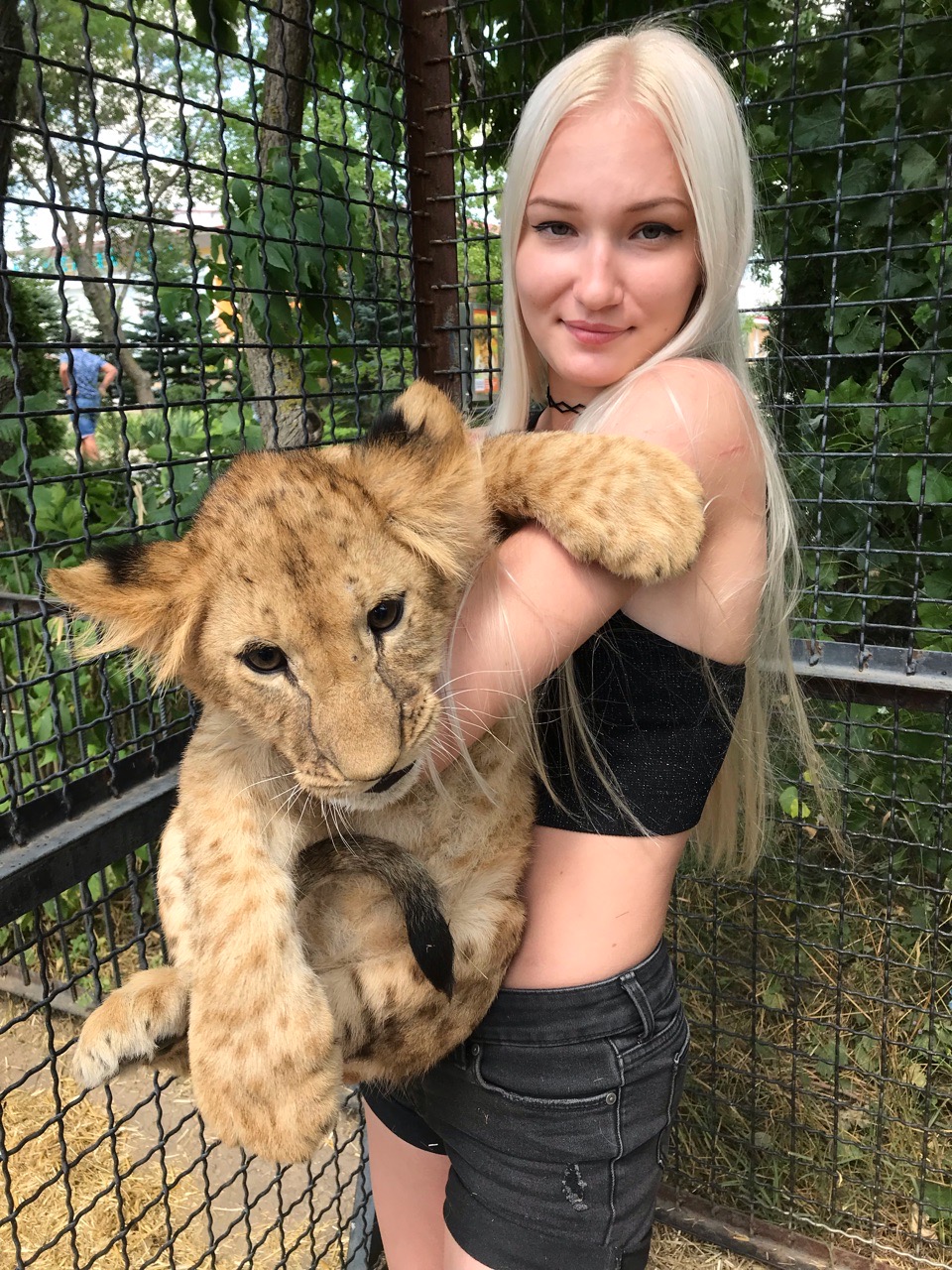 тайган сафари парк татьяна алексагина. тайган от гурзуфа км. тайган алексахина. белогорск крым парк львов тайган. олег зубков и татьяна алексагина.