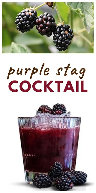 A summer cocktail with the flavours of blackberries made with Jägermeister, plus a guide to summer fruity and botanical alcoholic drinks. #cocktail #fruitycocktail #cocktailrecipes #blackberries #blackberryrecipes #summerrecipes