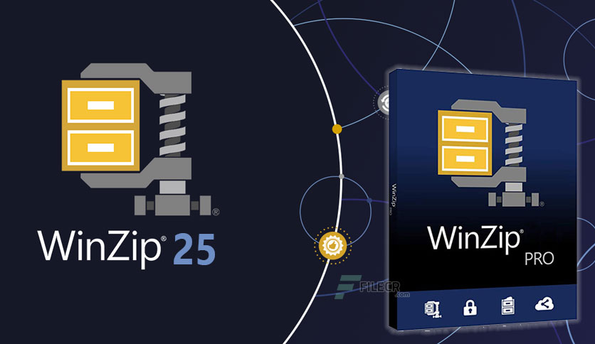 winzip 25 standard edition free download
