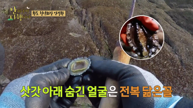 안다행에서 본인 손바닥만한 홍합구이 먹은 안정환 | 인스티즈