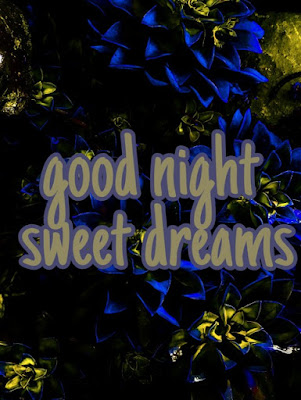 good night sweet dreams