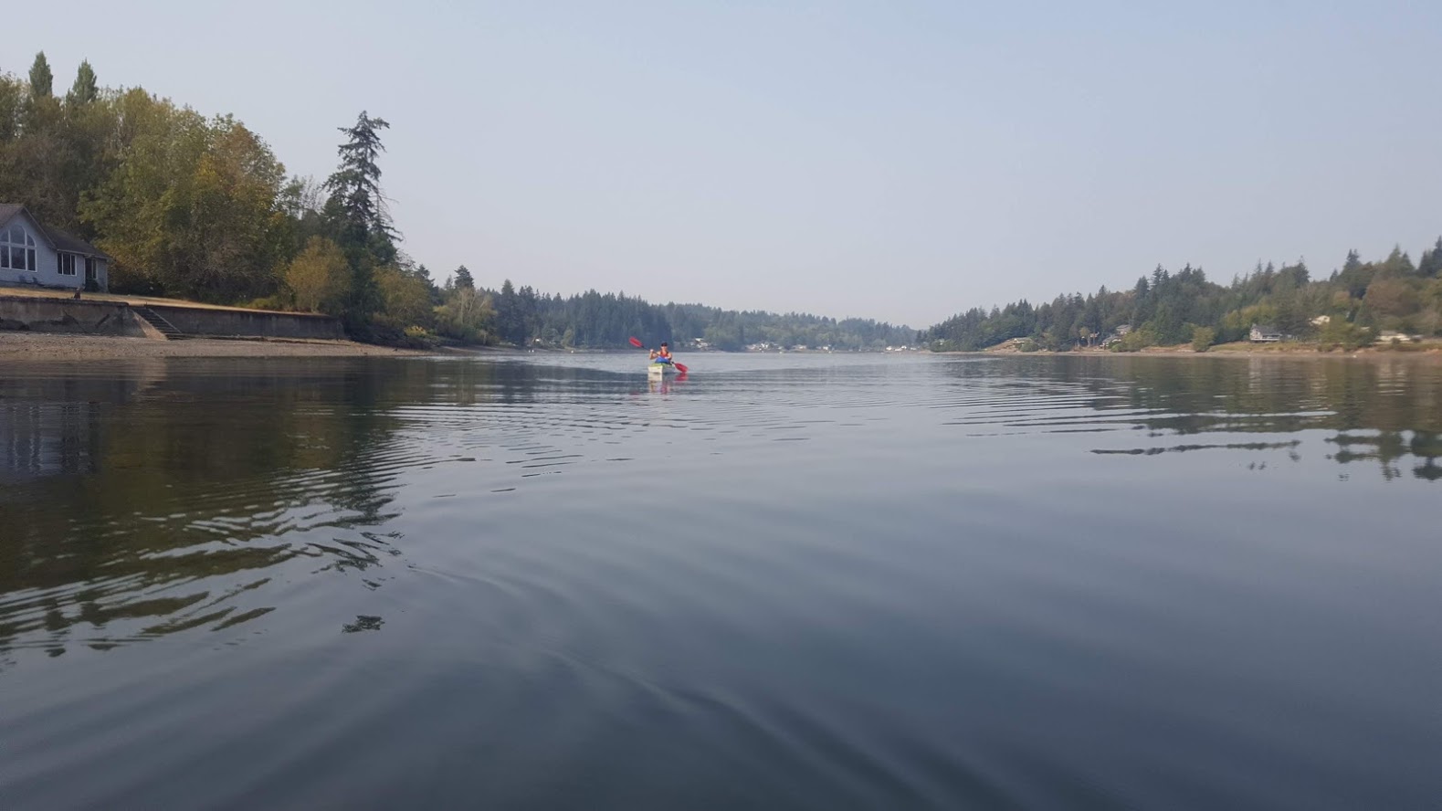 9/10/2020 - Hammersley Inlet, Walker Park, Shelton, WA