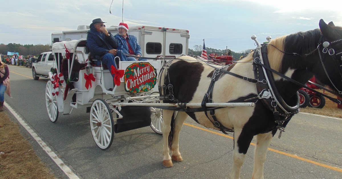 Southern Fried Common Sense & Stuff Lowrys Christmas Parade 2019